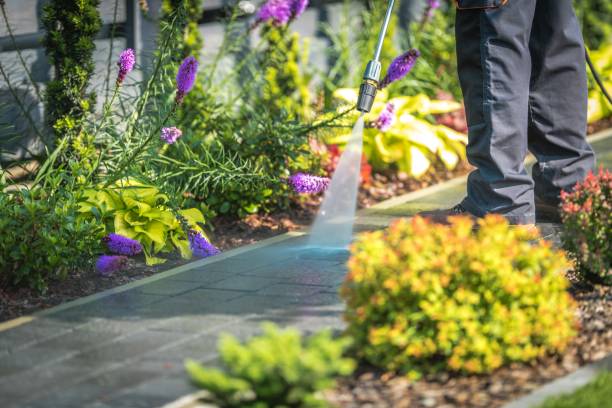 Animal Enclosure Cleaning in Vernonia, OR